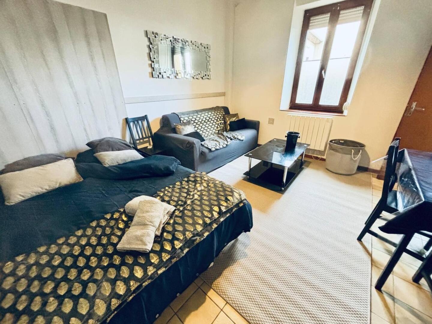 Le Lorrain Wifi Un Sejour A Part Apartment เมซ์ ภายนอก รูปภาพ